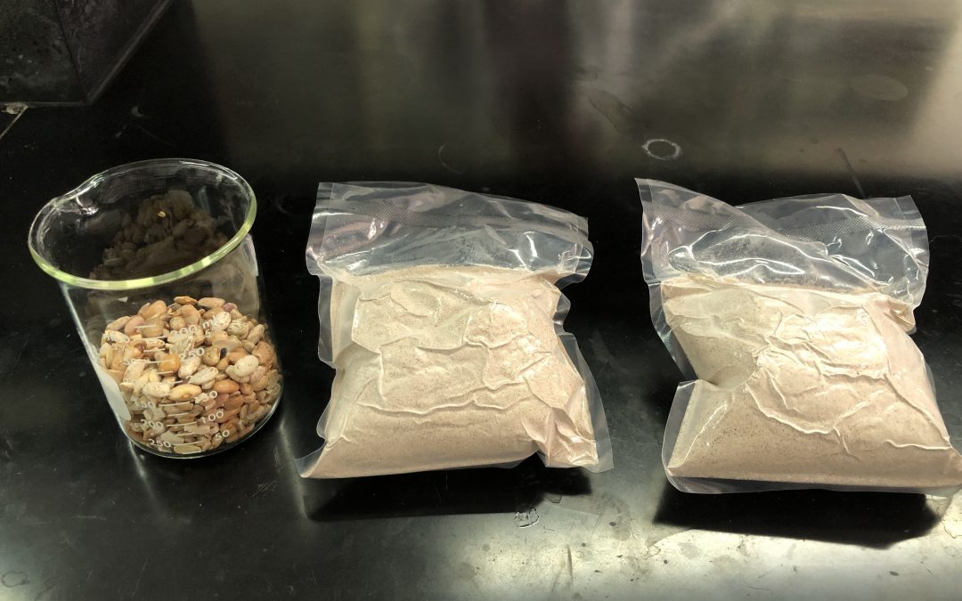 Patentan investigadoras UAQ sustituto de leche a base de frijol