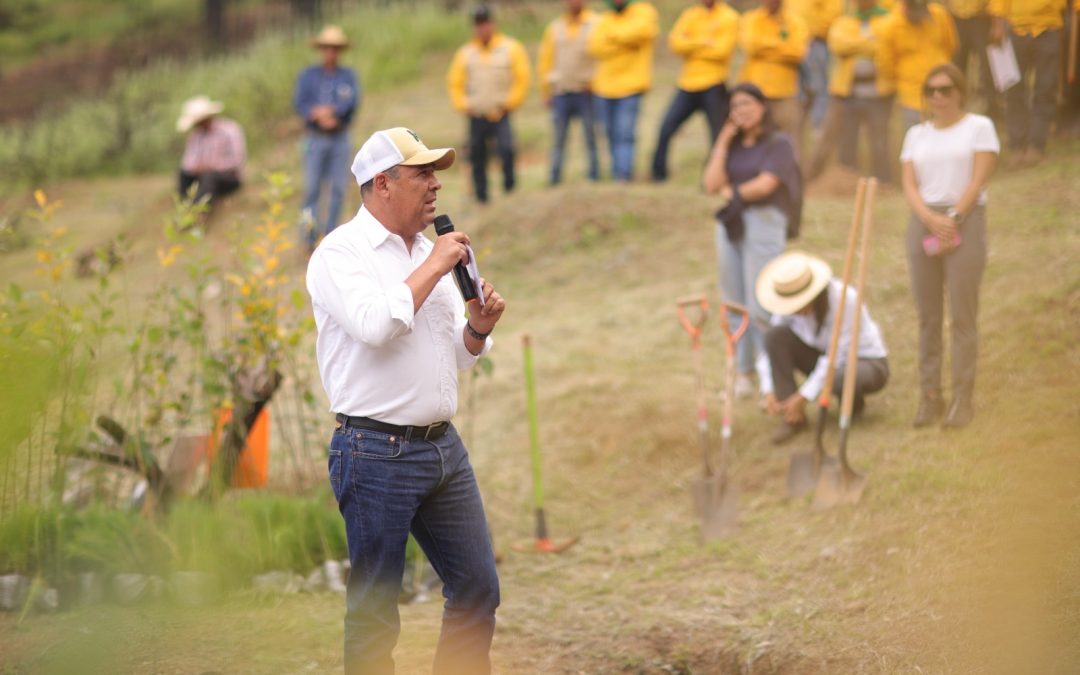Promueve SEDEA reforestación y restauración de suelos en Cadereyta