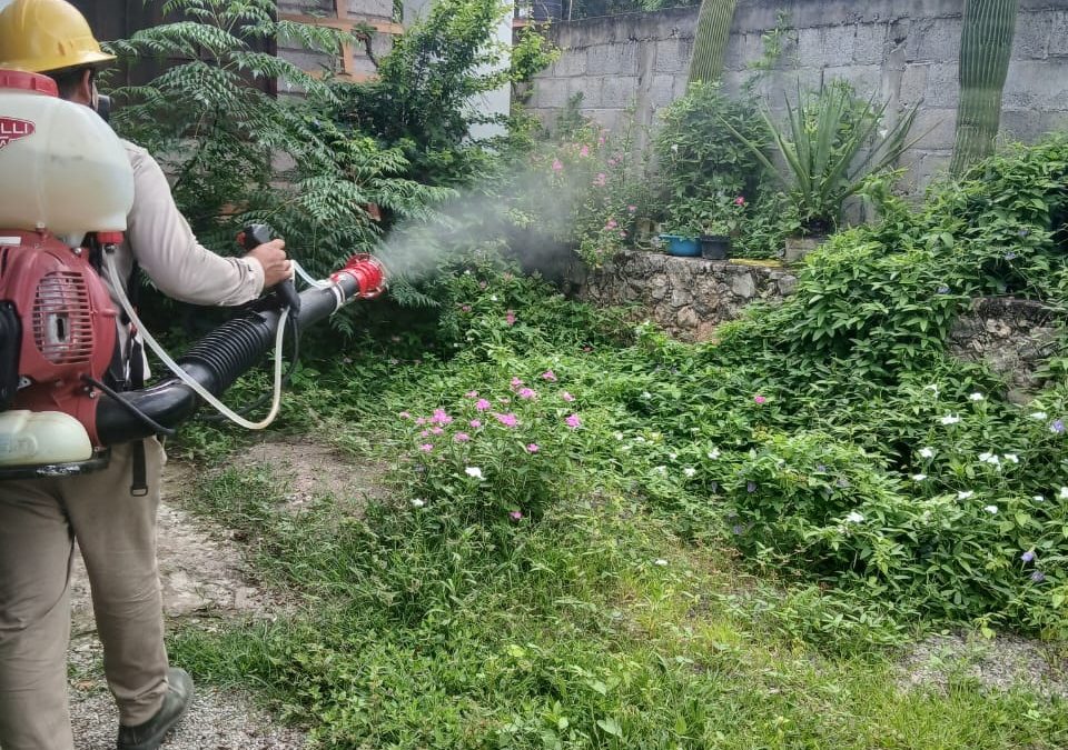 La participación de la población es importante para combatir el dengue