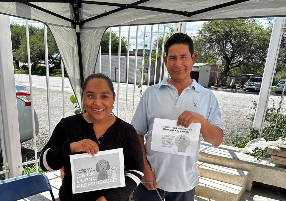 Realiza SESA Jornada de Esterilización Canina y Felina en San Vicente Ferrer