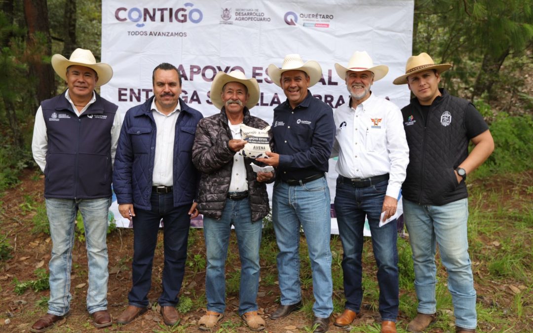 Entrega SEDEA semilla para cultivos forrajeros en San Joaquín, Peñamiller y Tolimán