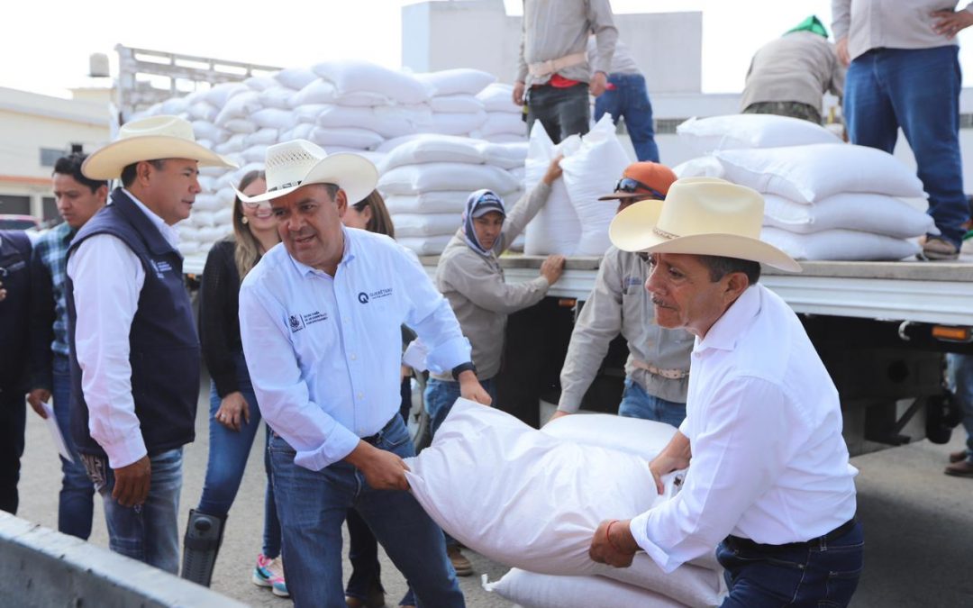 Continua SEDEA entrega de semilla para cultivos forrajeros en Ezequiel Montes y Cadereyta