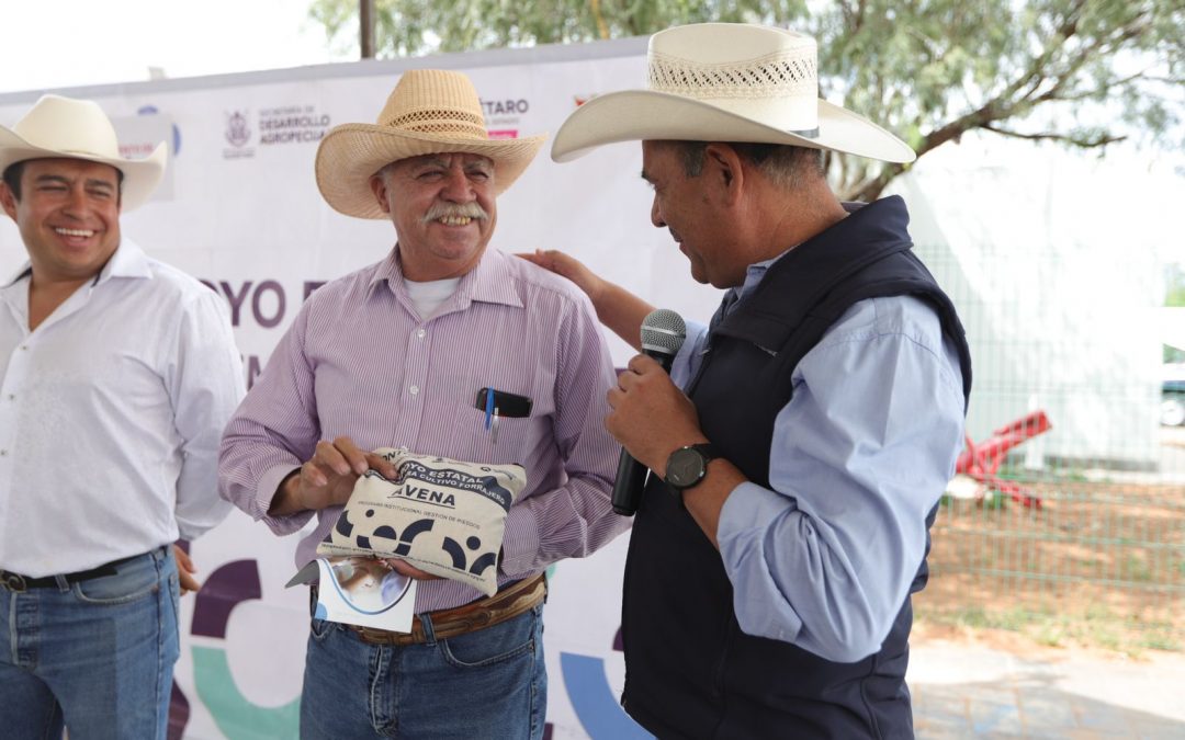 Registra SEDEA un avance de 70 por ciento en la entrega de semilla forrajera