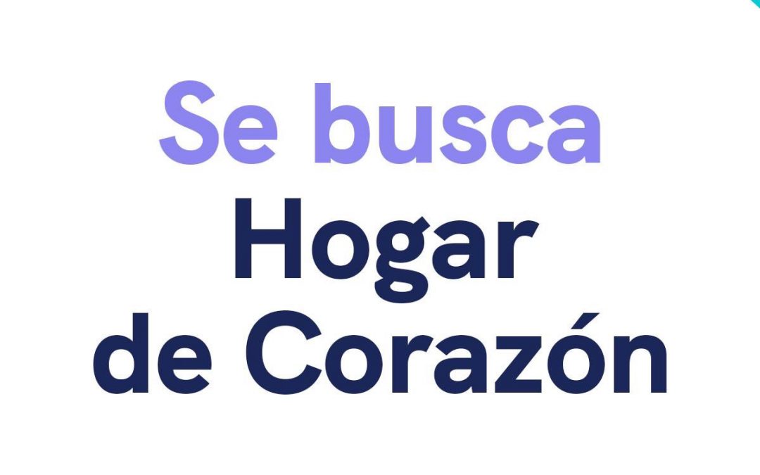 Hogares de Corazón, alternativa del SEDIF para atender a las y los niños institucionalizados