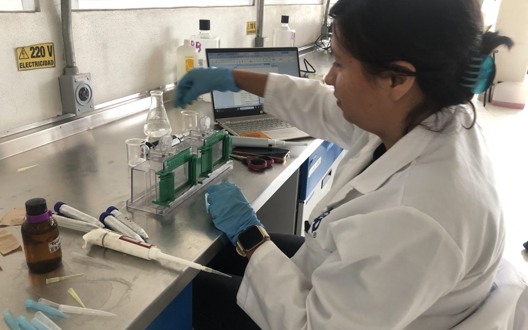 Celebra Química UAQ 20 años de formar a ingenieros biotecnólogos