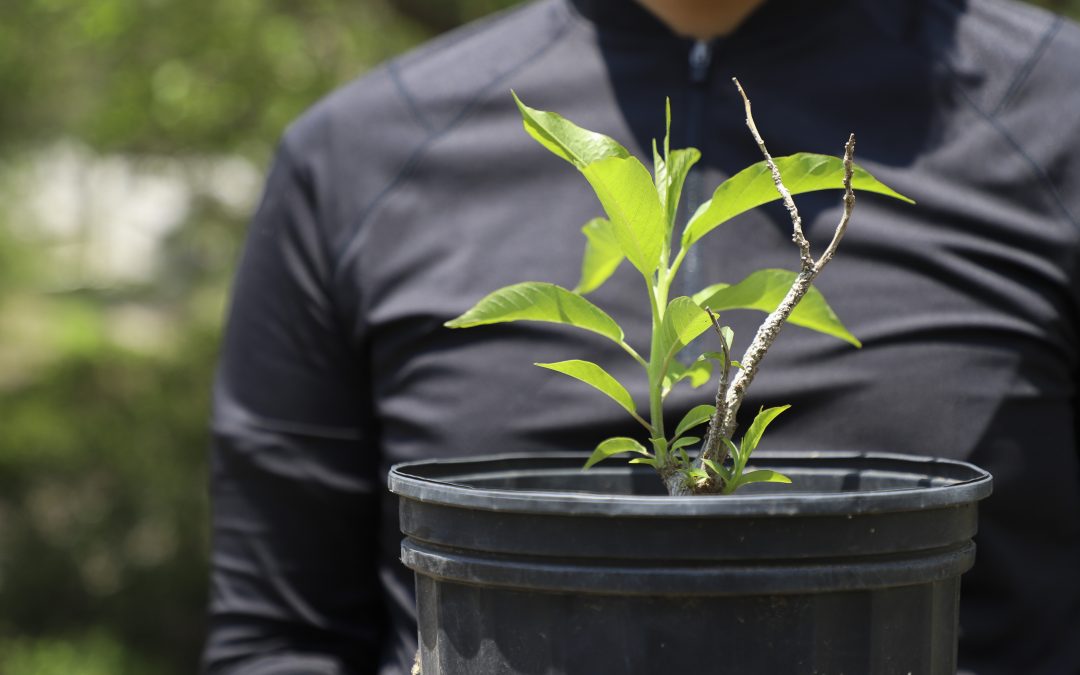 Triunfan proyectos UAQ en Premio Municipal de Biodiversidad 2024