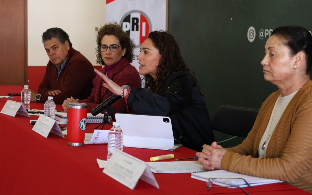 MORENA DE MANERA SISTEMÁTICA DESPARECE PROGRAMAS DE APOYO PARA PERSONAS CON DISCAPACIDAD: ABIGAIL ARREDONDO