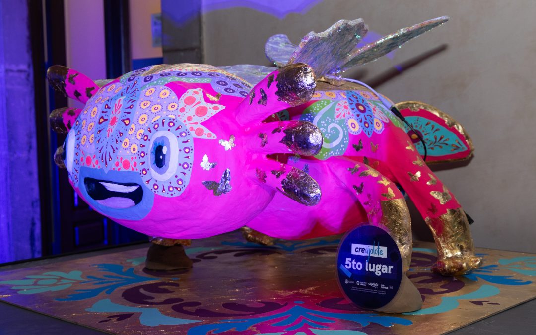 Llegan ajolotes de SEJUVE a Plaza La Victoria