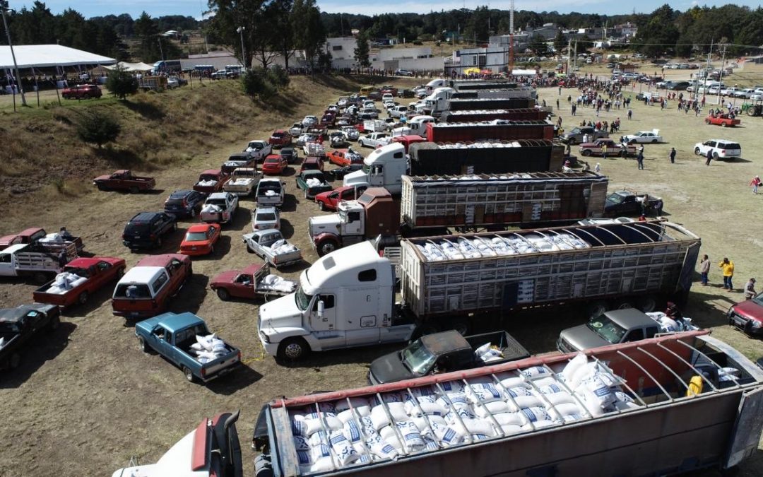 Apoya SEDEA a más de 5 mil familias del campo en Amealco de Bonfil con apoyos de maíz