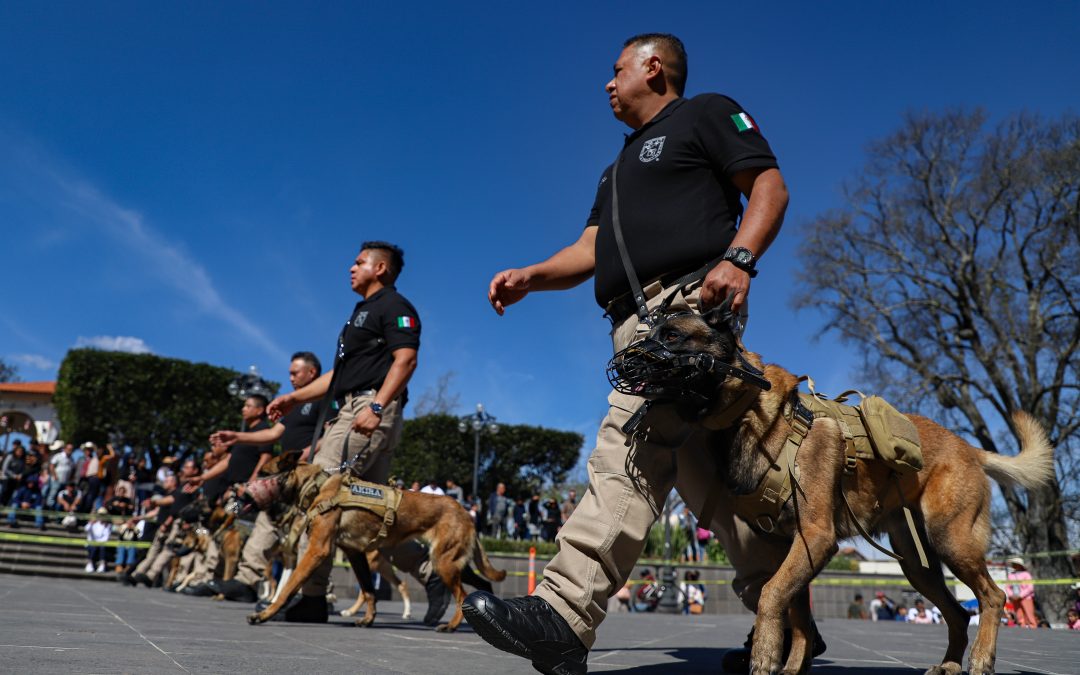 Unidad Canina UAQ: 7 años   de proteger los espacios universitarios