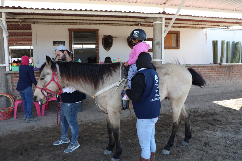Arranca SEDIF con las sesiones de equinoterapia en la zona metropolitana