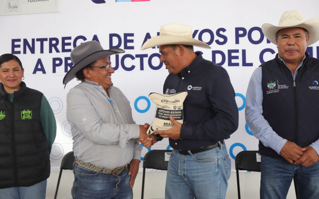 Entrega SEDEA maíz para consumo humano en Tolimán