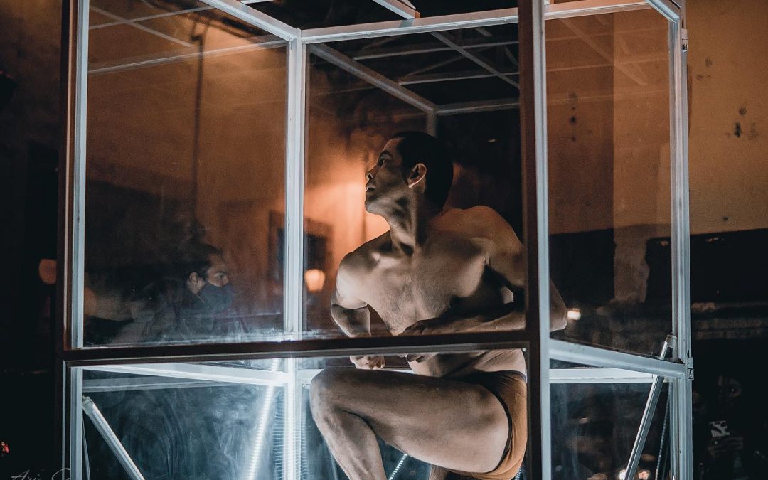 Artes plásticas y danza llegan al MACQ