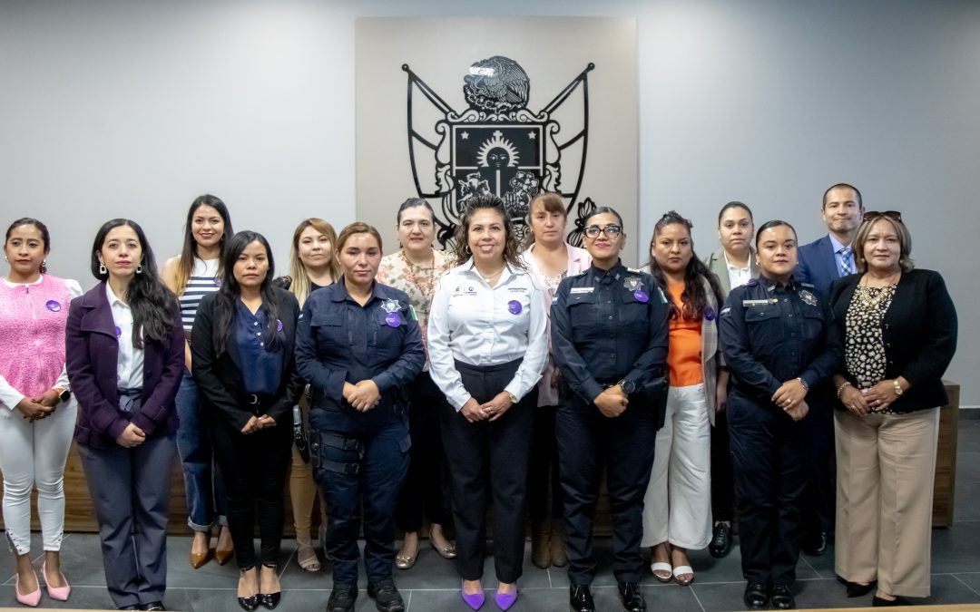 Impulsan cooperación interinstitucional en la atención a la violencia de género