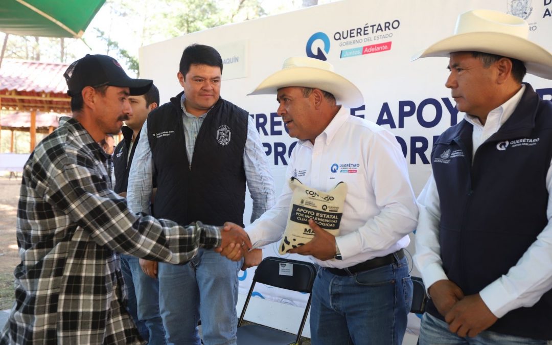 Fortalece SEDEA a productores de San Joaquín con maíz para consumo humano