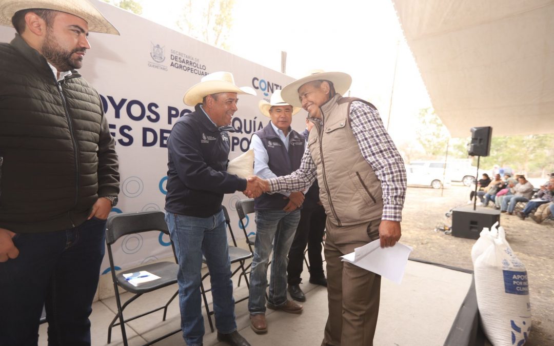 Entrega SEDEA maíz para consumo humano en Colón