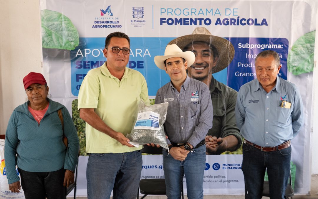 El Marqués impulsa la producción agrícola con entrega de semilla de frijol