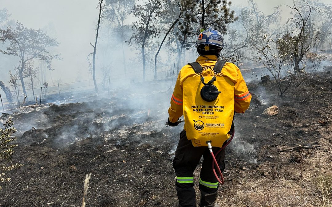 Coordina CEPCQ labores para sofocar incendio forestal entre Amealco y Huimilpan