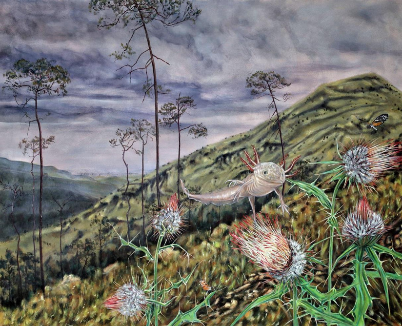 Abre el Museo Histórico de la Sierra la muestra Hábitats Cambiantes