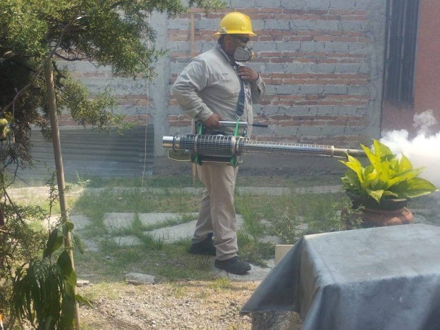 Secretaría de Salud realiza vigilancia epidemiológica del dengue