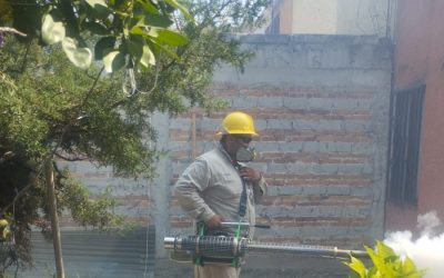 SESA realiza vigilancia epidemiológica de dengue
