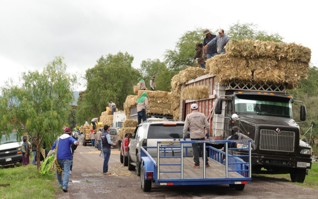 Entrega SEDEA forraje para ganado en Cadereyta