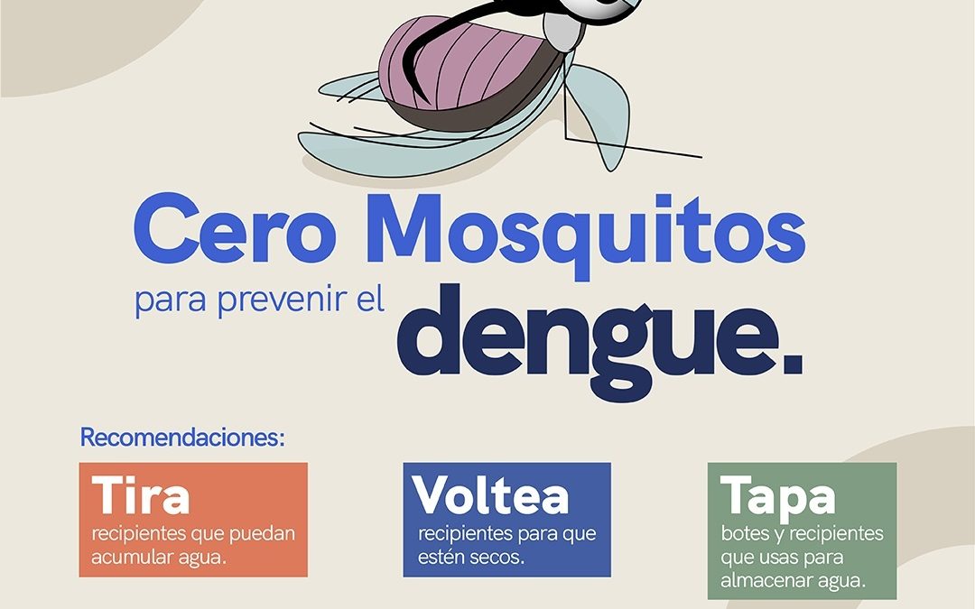 La SESA lleva a cabo vigilancia epidemiológica del dengue