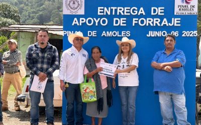 Pinal de Amoles apoya a su sector ganadero con entrega de forraje.