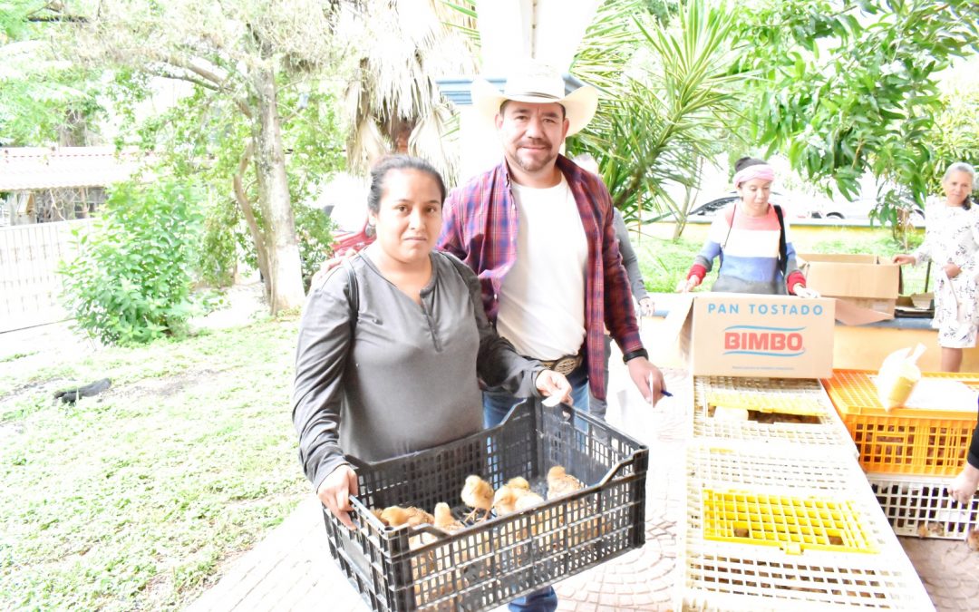 Entrega Rene Covarrubias paquetes de aves de traspatio