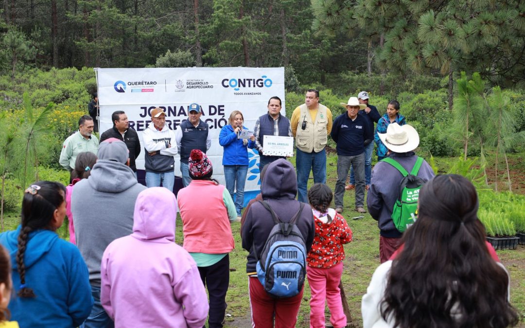 Lupita Ramirez Plaza encabeza jornada de reforestación en La Barranca