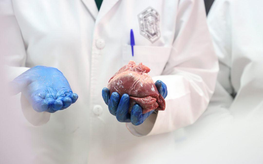Invierten UAQ y Universidad de Illinois en proyectos de investigación internacional