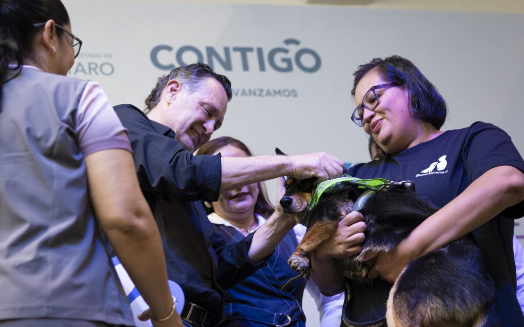 Arranca Croquetón Escolar 2025, un trabajo conjunto por el bienestar animal