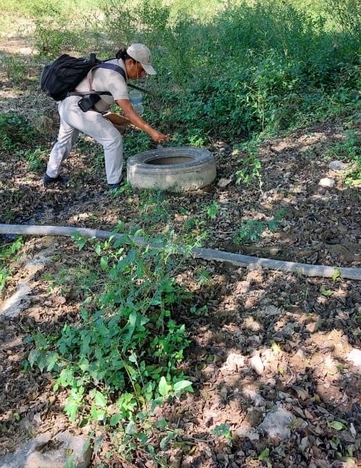 La participación ciudadana, fundamental para prevenir el dengue y eliminar criaderos