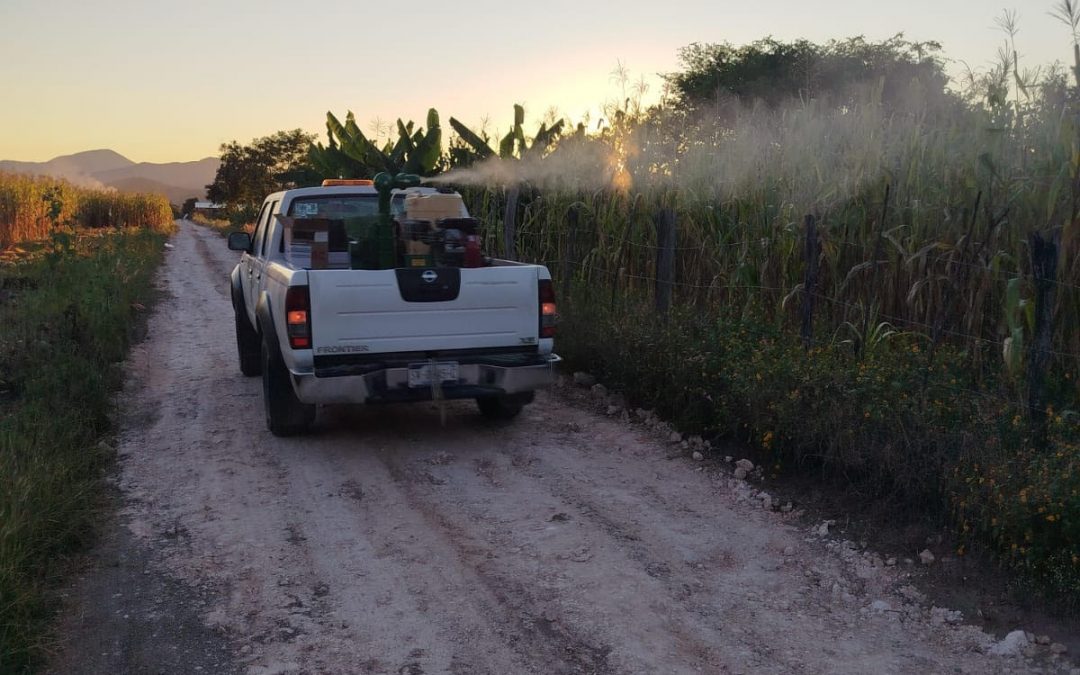Participación ciudadana, clave para prevenir el dengue y eliminar criaderos