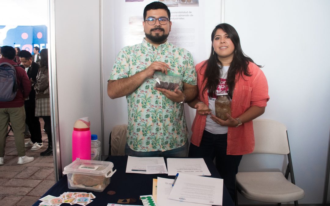 Propone UAQ biomaterial a partir de residuos de queso