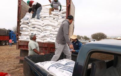 Apoya SEDEA a productores de Cadereyta con maíz para consumo humano