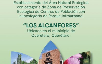 Emite SEDESU consulta pública para decreto del Parque Los Alcanfores como ANP