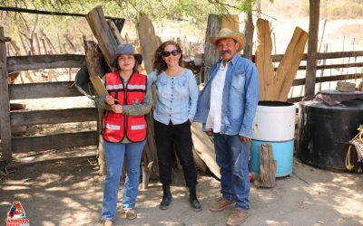 Con acciones coordinadas, Fernando Sánchez Gil enfrenta reportes de gusano barrenador.