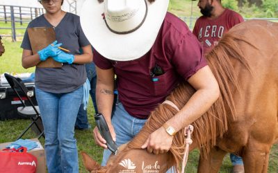 YUNI BENÍTEZ IMPULSA JORNADAS VETERINARIAS PARA FORTALECER EL TRABAJO EN EL CAMPO LANDENSE