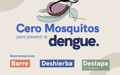 Fortalece SESA acciones de vigilancia epidemiológica del dengue