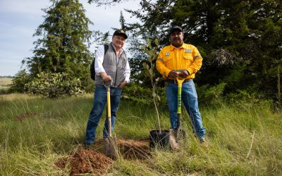 Participa Querétaro en la Jornada Nacional de Reforestación que busca restaurar los ecosistemas