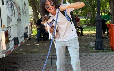 Acerca Municipio de Querétaro servicios de bienestar animal al Centro Histórico
