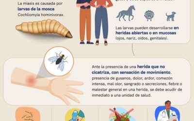 Continúa SESA vigilancia epidemiológica ante casos de miasis humana por gusano barrenador