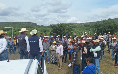 Entrega SEDEA semilla forrajera en municipios del semidesierto