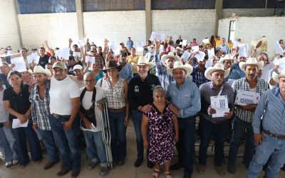 Apoya SEDEA con suplemento alimenticio a productores apícolas de la Sierra