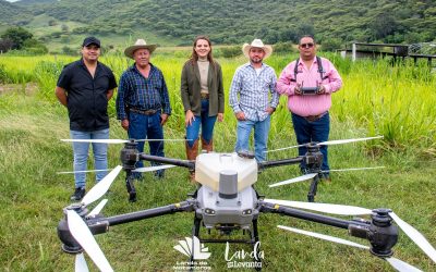 Yuni Benítez impulsa acciones preventivas para proteger los cultivos de landa de matamoros ante la langosta centroamericana