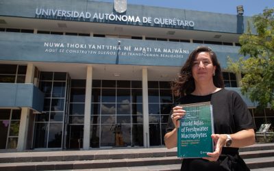 Investigadora UAQ detona análisis ecológico con un atlas mundial de plantas acuáticas